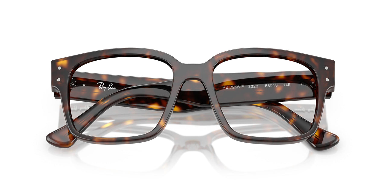 8320 - Tortoise - Clear