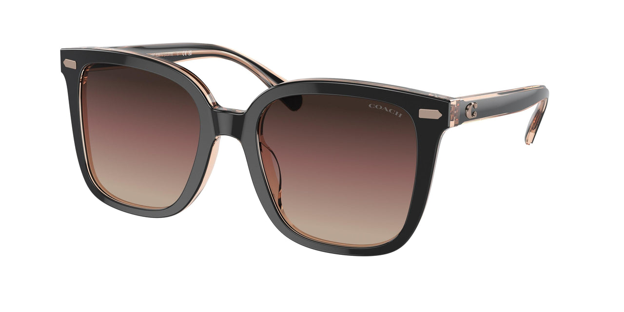 Coach Cl918 8381U Sunglasses