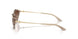 836613 - Brown - Gradient Brown