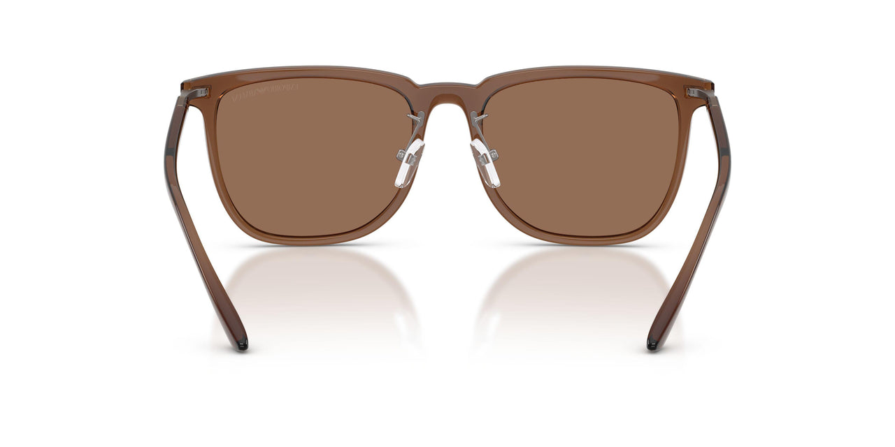 628273 - Brown - Dark Brown