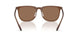 628273 - Brown - Dark Brown