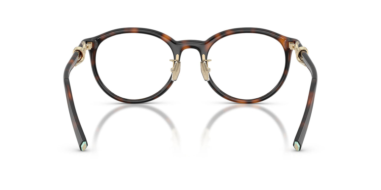 8015 - Tortoise