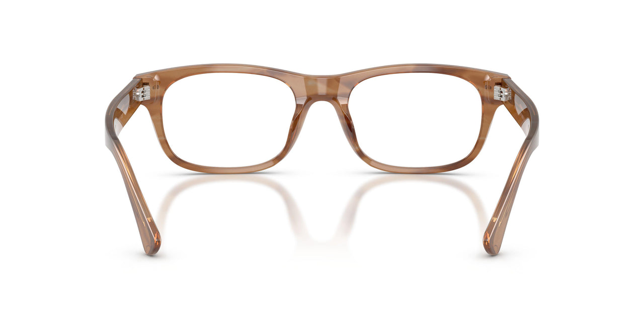 6138 - Tortoise