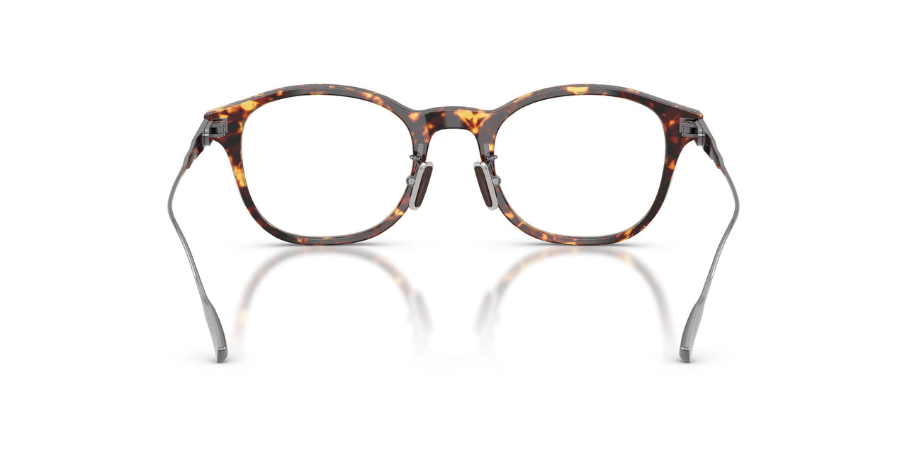 3038 - Tortoise