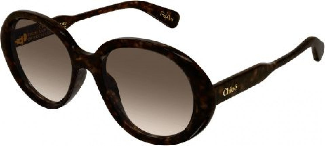 Chloe CH0221S Sunglasses display picture 2