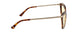 02301 - Tortoiseshell - Amber