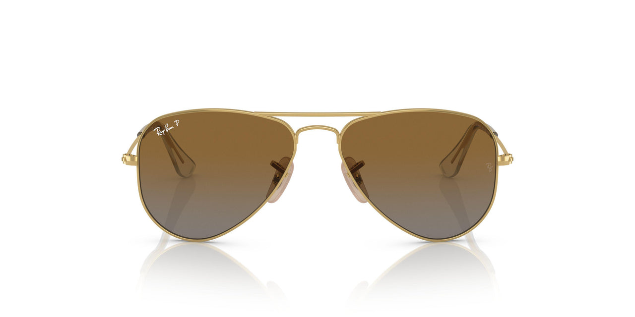 223/T5 - Gold - Gradient Brown Polar