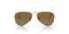 223/T5 - Gold - Gradient Brown Polar