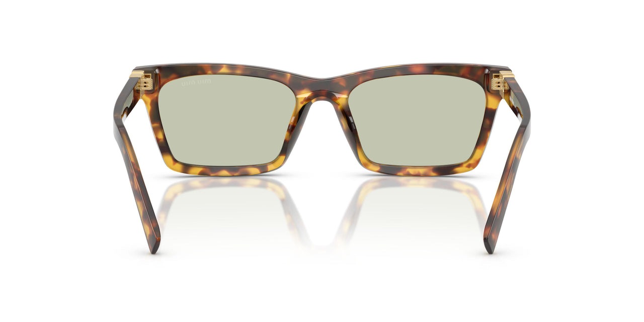 14L50O - Tortoise - Light Green