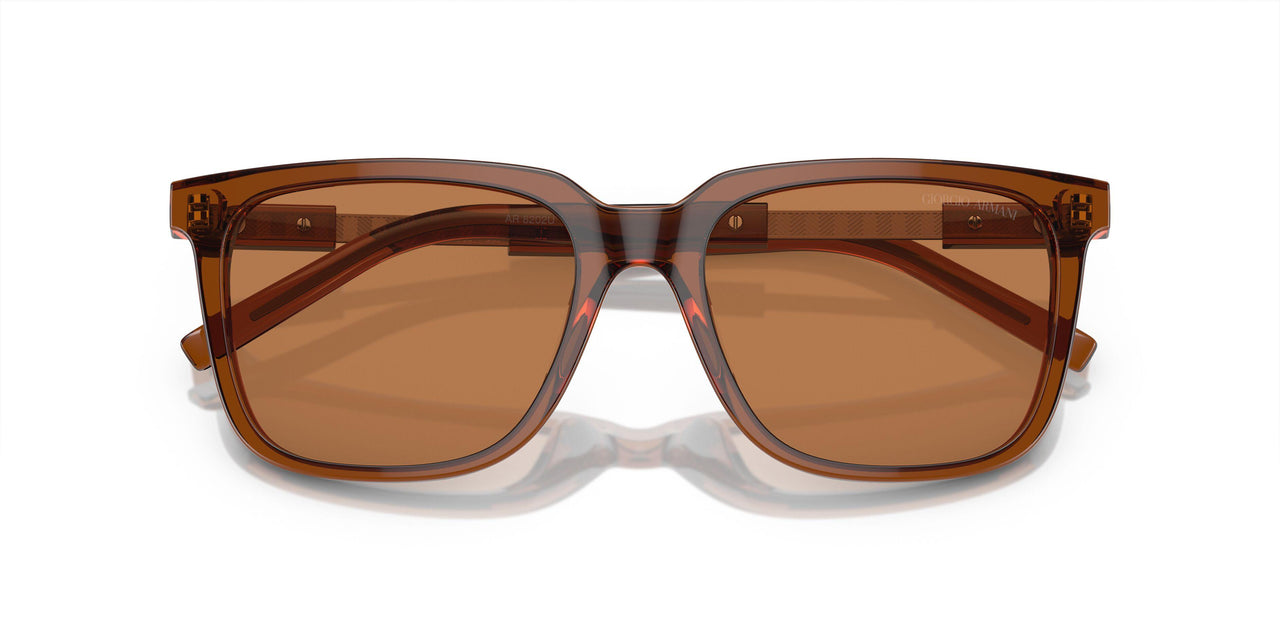 604973 - Brown - Brown