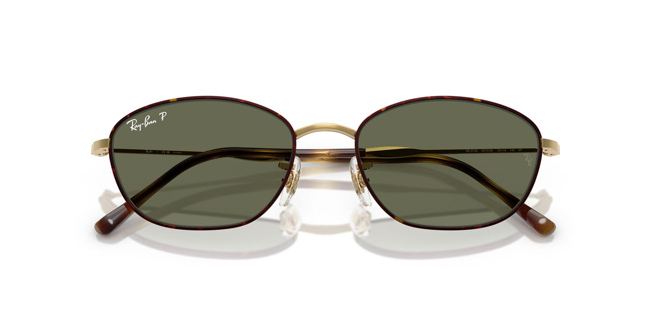 927358 - Tortoise - G-15 Green