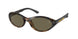 Polo 4197U Sunglasses