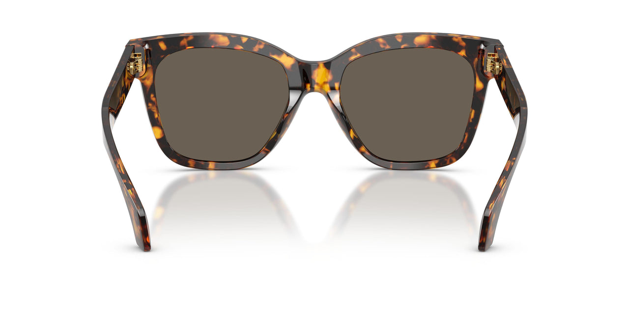 5514/3 - Tortoise - Brown