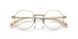 10242C - Gold - Gradient Brown