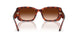 577474 - Tortoise - Brown Gradient
