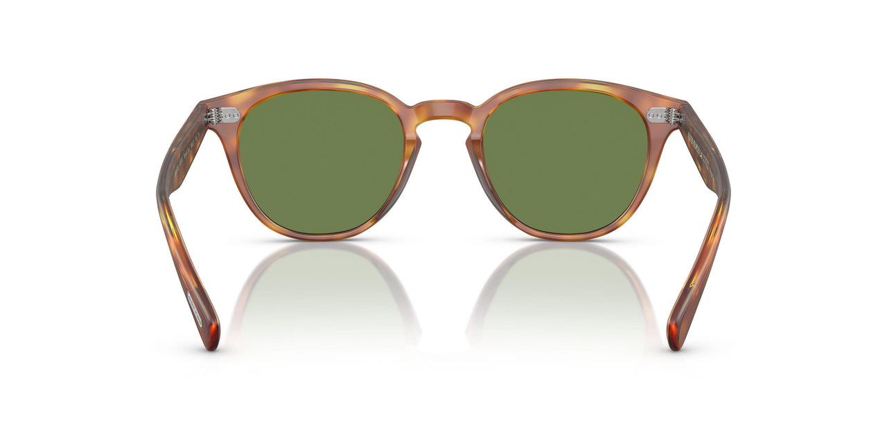 14834E - Tortoise - Vibrant Green