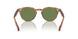 14834E - Tortoise - Vibrant Green