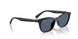 901/2V - Black - Blue Polar