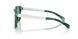 301282 - Brown - Petrol Green