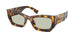 14L50O - Tortoise - Green