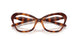 2003 - Tortoise