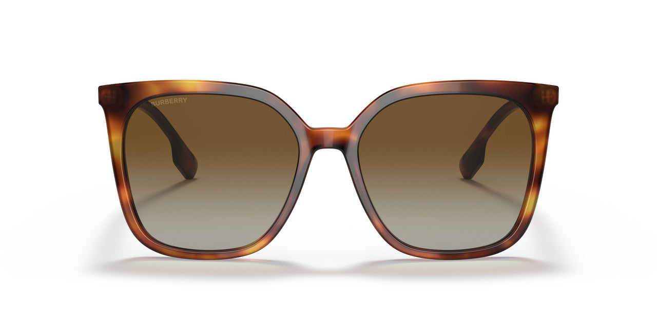 3316T5 - Havana - Gradient Brown Polar