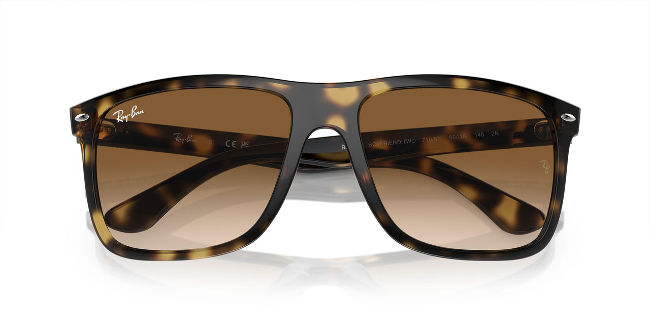 710/51 - Tortoise - Clear/brown