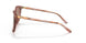 317513 - Pink - Brown Pink Gradient