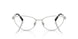 6001 - Silver