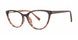 Modern Plastics II YEARN Eyeglasses