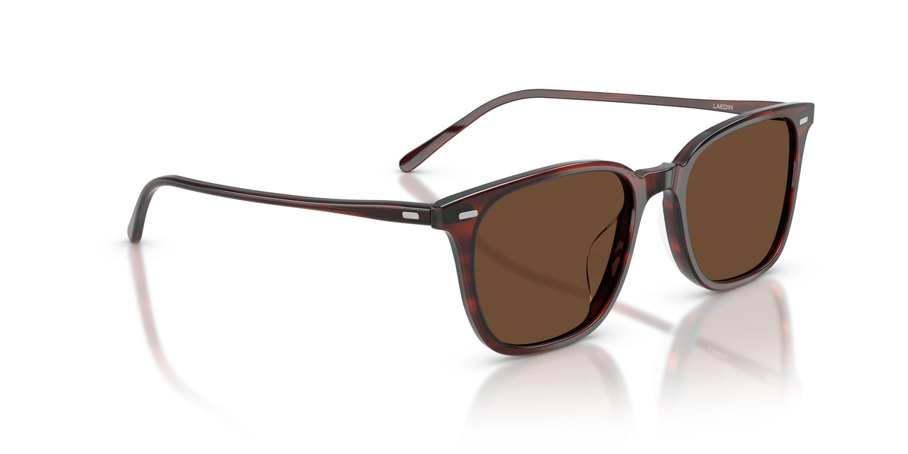 1818AN - Brown - Terra Polarized