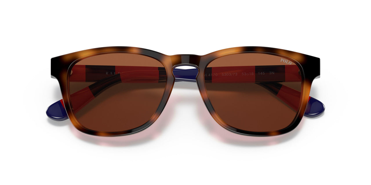 530373 - Havana - Brown