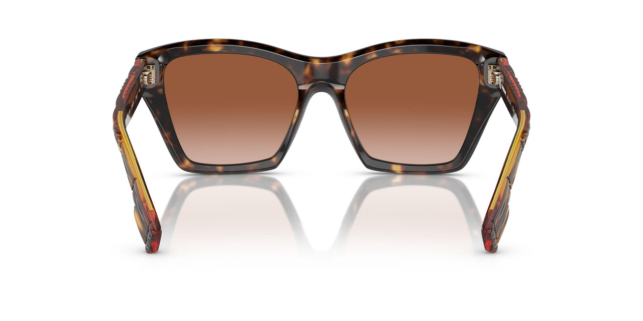 300213 - Brown - Brown Gradient