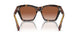 300213 - Brown - Brown Gradient
