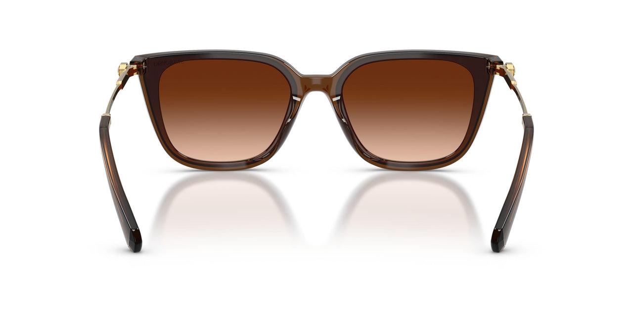 108474 - Brown - Gradient Brown