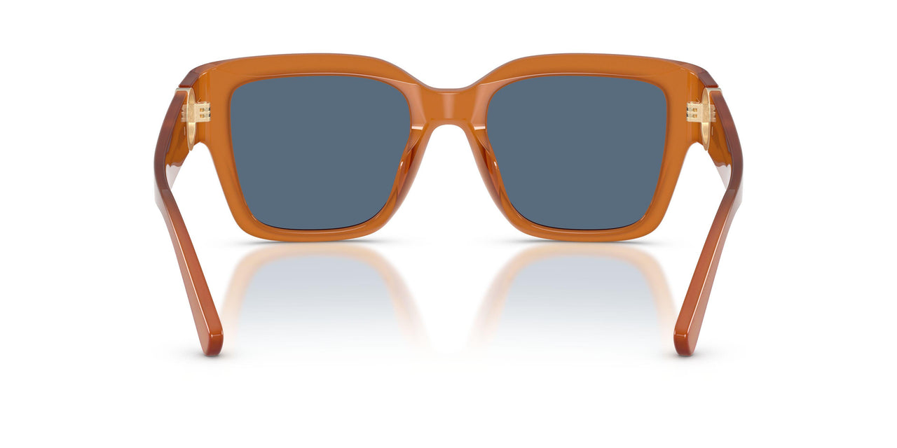 206980 - Brown - Blue