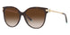 81343B - Havana - Brown Gradient
