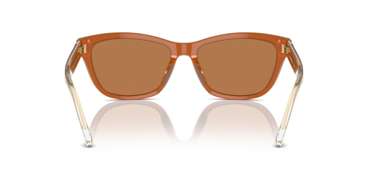 609773 - Orange - Brown