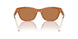 609773 - Orange - Brown