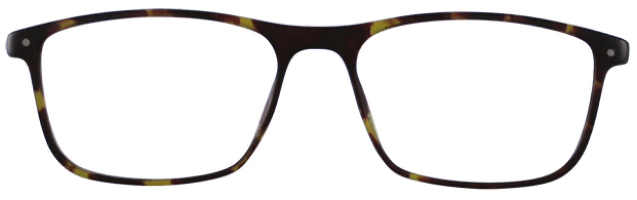 024 - Matte Tortoise