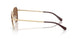 611013 - Gold - Dark Brown