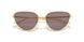 33437N - Gold - Light Purple & Brown Mirror