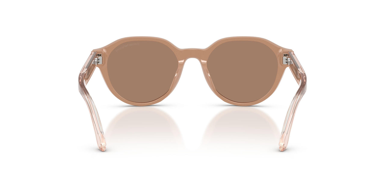 638473 - Brown - Dark Brown
