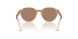 638473 - Brown - Dark Brown