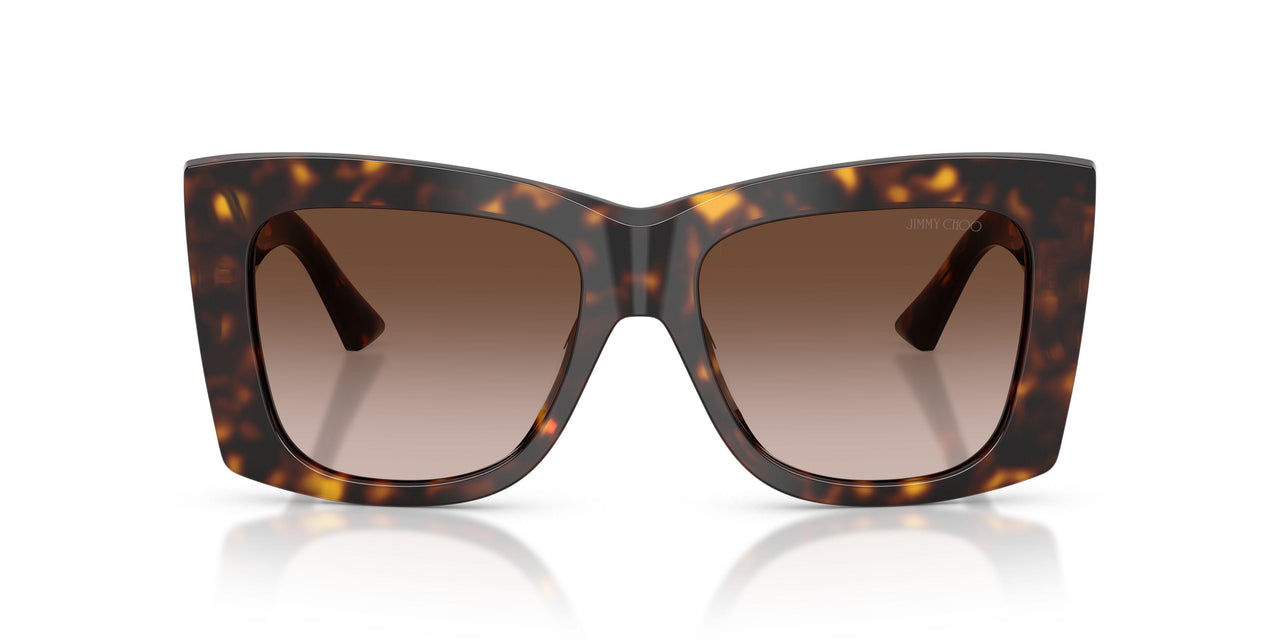 500213 - Tortoise - Gradient Brown