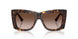 500213 - Tortoise - Gradient Brown