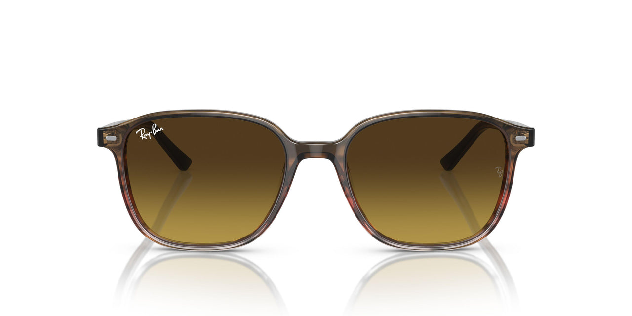 138085 - Brown - Brown