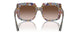 321713 - Tortoise - Gradient Brown