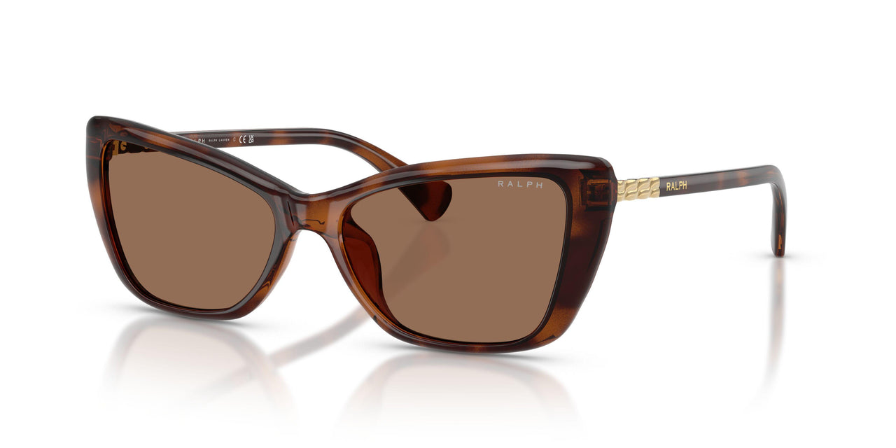 614973 - Tortoise - Brown