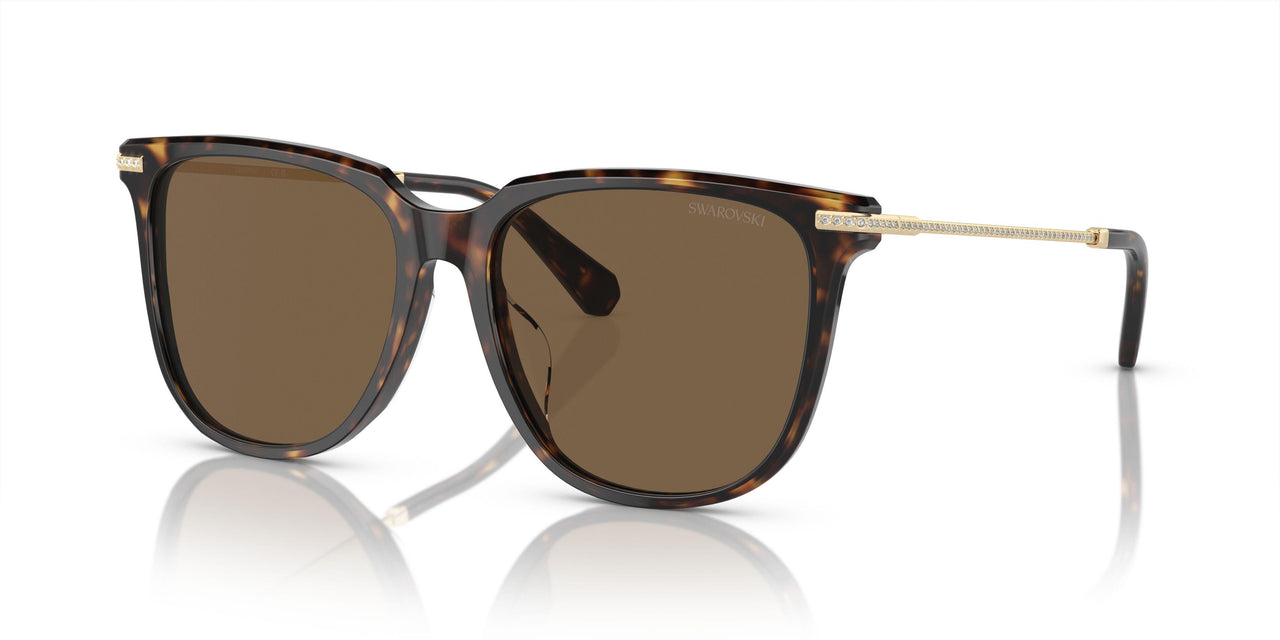100273 - Brown - Brown